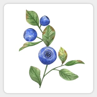 Blueberries Sticker